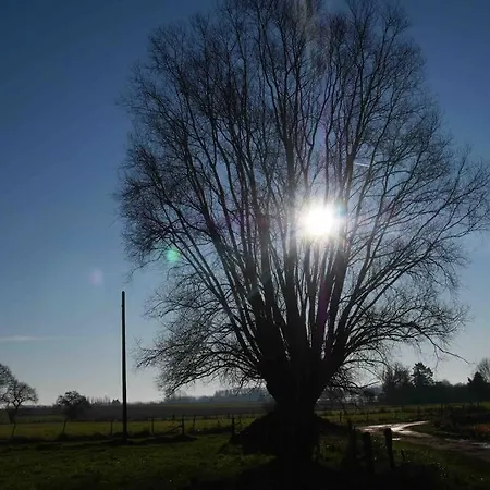 Holiday home L 'ecurie A La Campagne Flines-Les-Mortagne