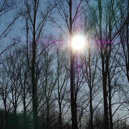 L ´écurie à La Campagne Casa de Férias Flines-Les-Mortagne