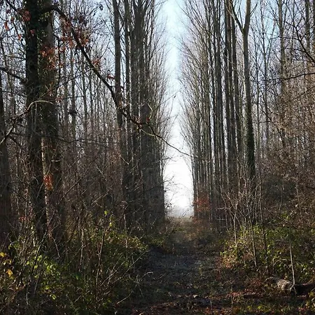 L 'ecurie A La Campagne