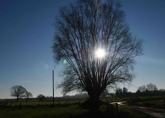 度假居 L 'ecurie A La Campagne Flines-Les-Mortagne