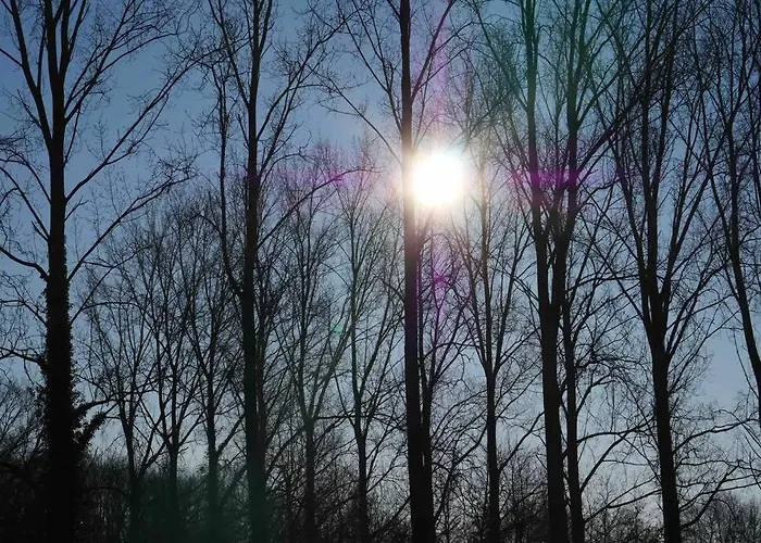 L 'ecurie A La Campagne 度假居 Flines-Les-Mortagne