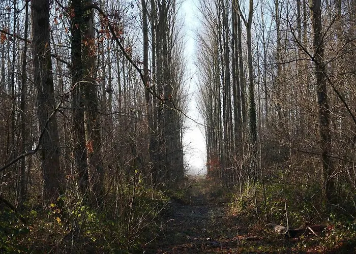 L 'ecurie A La Campagne